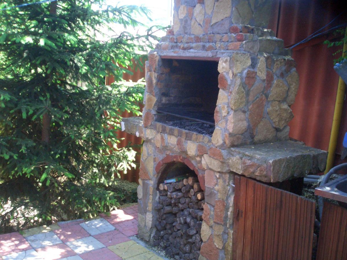 Casa Vladut Apartment Babadag Exterior photo